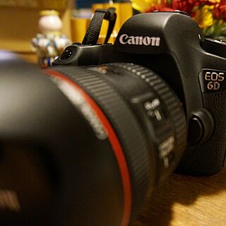 Canon EOS 6D/一眼レフ/カメラ/インテリアじゃなくてごめんなさいのインテリア実例 - 2016-11-24 21:31:06