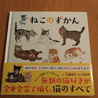 猫のいる暮らし/癒し/大森裕子/今泉忠明/ねこのずかん...などのインテリア実例 - 2019-12-31 18:19:09