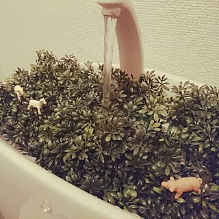 バス/トイレ/セリア/ズボラ/ひつじ/トイレの水がじゃばじゃば出るところ...などのインテリア実例 - 2016-04-22 20:18:28