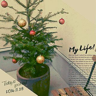 玄関/入り口/IKEA/Xmas☆/もみの木のインテリア実例 - 2016-11-28 17:19:11