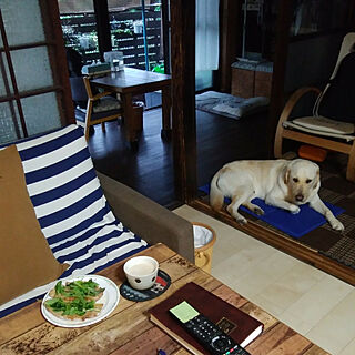 リビング/大型犬と暮らす/日本家屋/ヴィンテージ/生活感のある家が好きのインテリア実例 - 2019-08-23 07:05:26