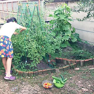 玄関/入り口/家庭菜園のインテリア実例 - 2016-07-10 18:16:27