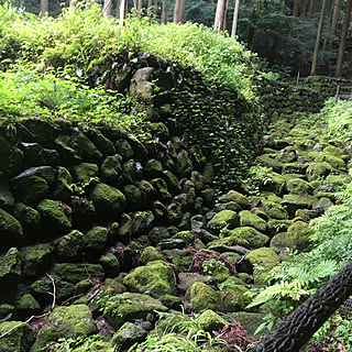 田舎暮らし/古民家暮らし/苔がすき/ベッド周りのインテリア実例 - 2019-06-30 23:43:14