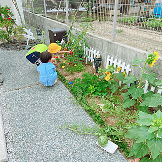 ピーナッツ/お庭のある暮らし/こどもと暮らす/お花のある暮らし/家族で暮らす...などのインテリア実例 - 2020-07-01 19:06:54