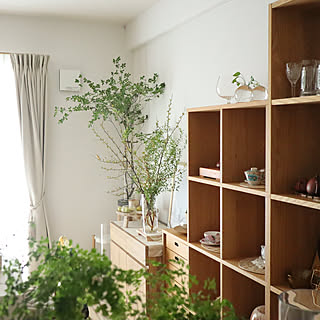 アジアンタム/観葉植物/IKEA/ガラス/花器...などのインテリア実例 - 2023-09-10 23:23:21