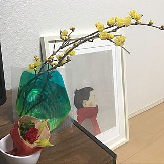 棚/niko and…　/ドライフラワー/IKEAのインテリア実例 - 2017-01-22 23:03:18