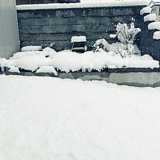 春まだ遠し/小さな庭/3月16日にこの積雪/Instagram→dct.tama/玄関/入り口のインテリア実例 - 2020-03-16 23:53:17