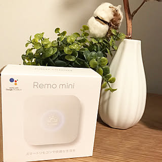 手軽にスマートホーム/快適な生活/Nature Remo/時短アイテム/スマートリモコン...などのインテリア実例 - 2019-11-22 21:23:56