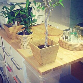 キッチン/植物/DIY/IKEAのインテリア実例 - 2013-10-17 17:47:51