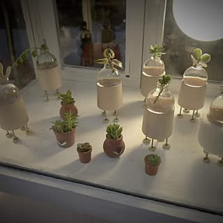 多肉植物/家の形/DIY/雑貨/北欧のインテリア実例 - 2016-10-26 10:03:19