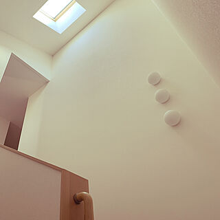 階段の照明/階段の天窓/階段の壁/壁/天井のインテリア実例 - 2020-02-23 15:17:10