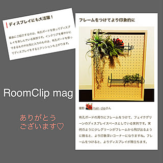 roomclipの出会いに感謝♪/コメントお気遣いなく♡/いつもありがとうございます♡/リビング/フェイクグリーン...などのインテリア実例 - 2022-05-03 21:45:25