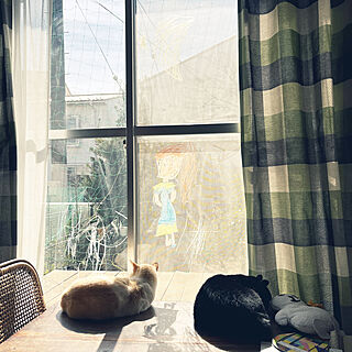ねこと暮らす/猫のいる暮らし/リビング/窓に落書き/キットパスのインテリア実例 - 2023-03-02 10:22:07