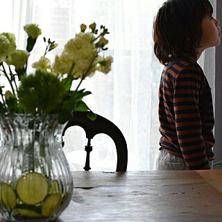 花のある暮らし/花瓶に果物/ライム/ストック/カーネーションのインテリア実例 - 2017-04-03 21:04:58