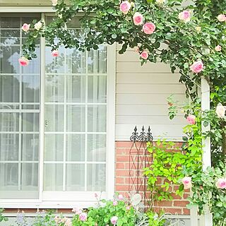 玄関/入り口/薔薇が好き/花のある暮らし/格子窓/パーゴラ...などのインテリア実例 - 2016-05-13 06:44:05