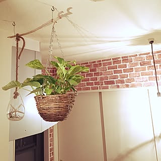 リビング/植物/ブログ更新しました♡/DIY/流木のインテリア実例 - 2015-11-06 13:46:43