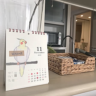壁/天井/卓上カレンダー/うちの鳥ちゃん/IKEAのインテリア実例 - 2018-11-11 08:29:25
