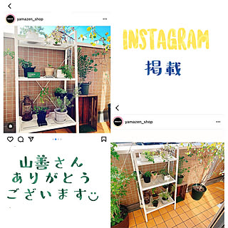 インスタ掲載ありがとうございます♡/プランタースタンド/ガーデンラック/山善/植物のある暮らし...などのインテリア実例 - 2021-02-19 21:16:12