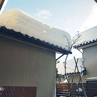 壁/天井/豪雪/屋根の上/酷すぎる…/雪かき大変！...などのインテリア実例 - 2021-01-10 12:56:54