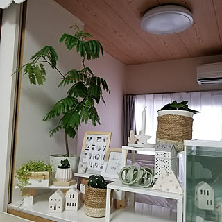 観葉植物/賃貸/賃貸でも楽しく♪/北欧インテリア/北欧...などのインテリア実例 - 2018-04-02 22:09:26