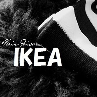 椅子/ルイゴスト/ムートンラグ/IKEA ブランケット/レザー...などのインテリア実例 - 2014-12-31 13:04:35