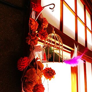 壁/天井/雑貨/お花たち/百円ショップのインテリア実例 - 2012-11-28 14:24:41