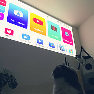 映画鑑賞/ホームシアター/プロジェクターのある部屋/insta→tansuke0323/ねこのいる日常...などのインテリア実例 - 2022-02-09 19:19:35