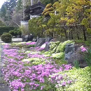 玄関/入り口/植物/景色/駐車場のインテリア実例 - 2013-04-30 12:25:04