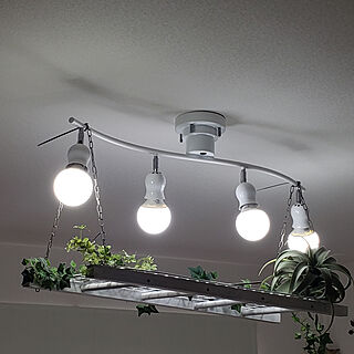 壁/天井/電球ライト/ラダーを吊るす/照明/ニトリのキセロ...などのインテリア実例 - 2018-11-08 16:45:58