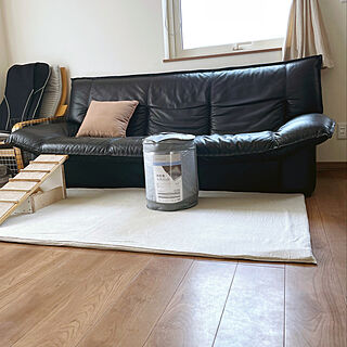 Diy スロープのインテリア 手作りの実例 Roomclip ルームクリップ