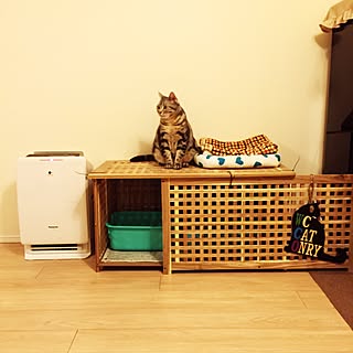 Ikea 猫トイレのおしゃれなアレンジ 飾り方のインテリア実例 Roomclip ルームクリップ