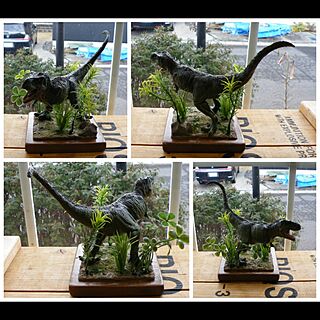 恐竜/ジオラマのインテリア実例 - 2017-02-11 07:51:28