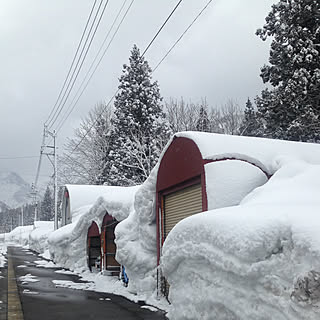 玄関/入り口/雪国の暮らし/外観のインテリア実例 - 2018-03-02 11:16:55