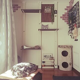部屋全体/猫と暮らすマンション/Instagramやってます/roomclip 初心者/IKEAカーテン...などのインテリア実例 - 2017-01-07 11:31:13