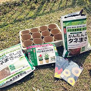 玄関/入り口/ジフィー/植物のある暮らし/タネまき/いいね！押し逃げばかりでごめんなさい。...などのインテリア実例 - 2019-04-07 13:55:04