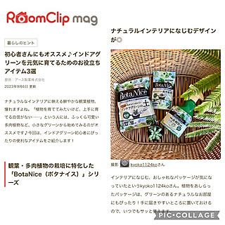 部屋全体/BotaNice/mag掲載/mag掲載ありがとうございます♡/記録用なのでコメントお気遣いなく♡...などのインテリア実例 - 2023-09-07 10:51:48