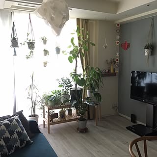 部屋全体/壁紙や本舗/DIY/観葉植物/IKEA...などのインテリア実例 - 2016-06-14 06:51:57