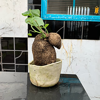 タイのインテリア オブジェ 置物 壁掛け