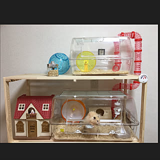 ハムスターケージのおしゃれなアレンジ 飾り方のインテリア実例 Roomclip ルームクリップ