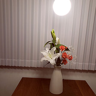 リビング/照明/ダイソー/花瓶のインテリア実例 - 2020-05-08 00:47:37