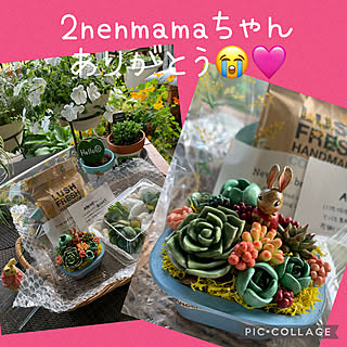 2men mamaちゃん ありがとう✨/2menmama ちゃんからのステキ便/LUSH FRESH/カトンテール/わたしの休日のすごし方...などのインテリア実例 - 2023-05-22 15:54:25