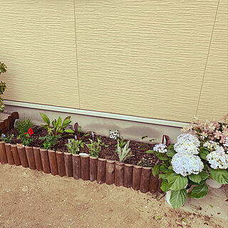 花壇手作り/花/植物/玄関/入り口/庭のインテリア実例 - 2022-05-01 17:00:14