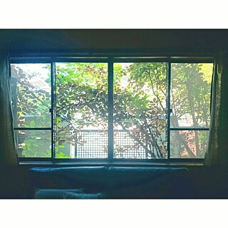 リビング/窓/グリーンカーテン/ヘンリーヅタのインテリア実例 - 2015-05-30 18:23:37