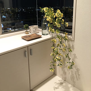 玄関/入り口/玄関の窓/花の名前が分かりません/花のある暮らしを目指す/マンションのインテリア実例 - 2018-04-20 19:23:31