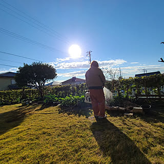 玄関/入り口/楽しみ/趣味/家庭菜園/にわのある暮らし...などのインテリア実例 - 2021-12-01 14:18:01