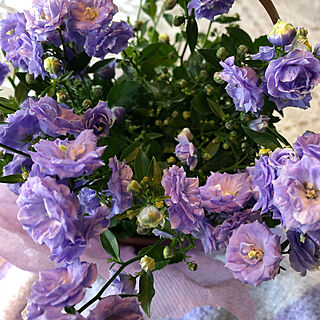 玄関/花/紫の花/リビングのインテリア実例 - 2020-04-23 08:15:15