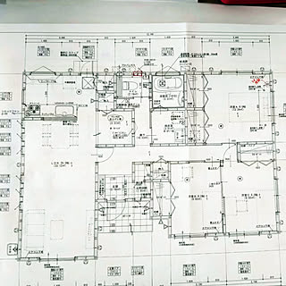 部屋全体/平屋/間取り図/新築一戸建て/建坪30坪のインテリア実例 - 2020-08-30 07:28:49