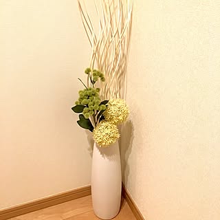 玄関/入り口/IKEAが遠い/本当はラミータが良かった/ドライウィロー/ワイルドベリー...などのインテリア実例 - 2017-02-28 18:40:22