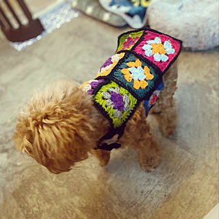 ハンドメイド 犬服のおしゃれなアレンジ・飾り方のインテリア実例 ...