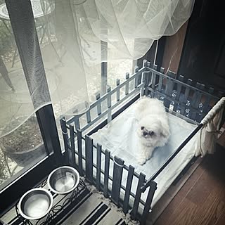 100均 犬のトイレの商品を使ったおしゃれなインテリア実例 Roomclip ルームクリップ